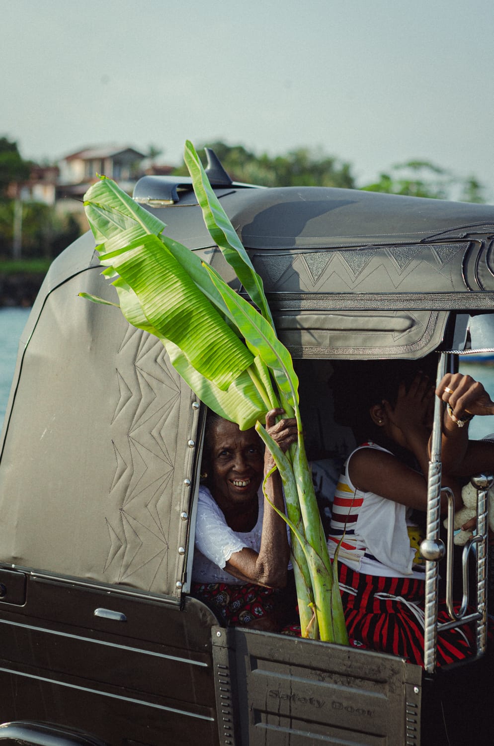 Фото 329 из альбома Sri Lanka 2019