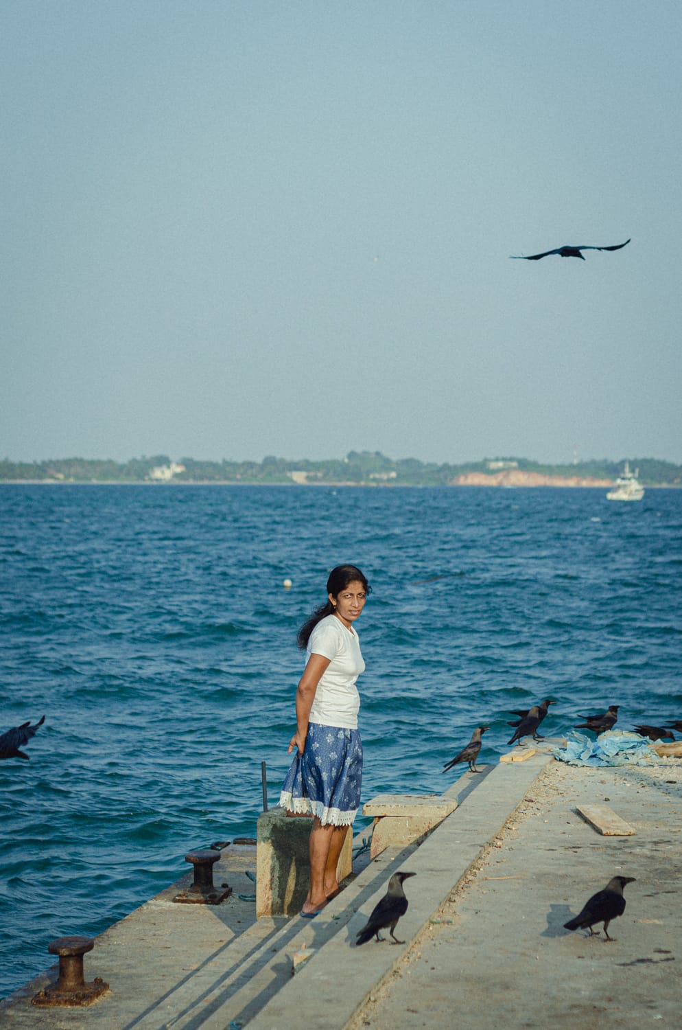Фото 330 из альбома Sri Lanka 2019