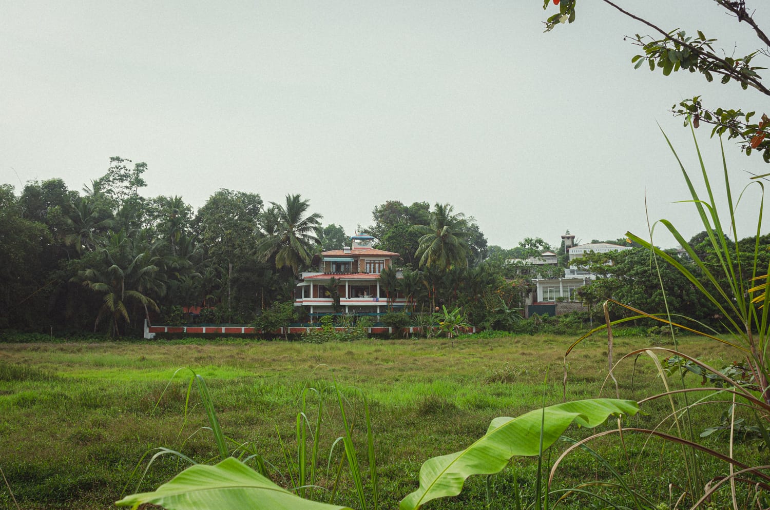Фото 335 из альбома Sri Lanka 2019