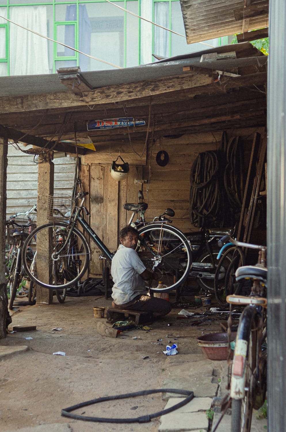 Фото 336 из альбома Sri Lanka 2019