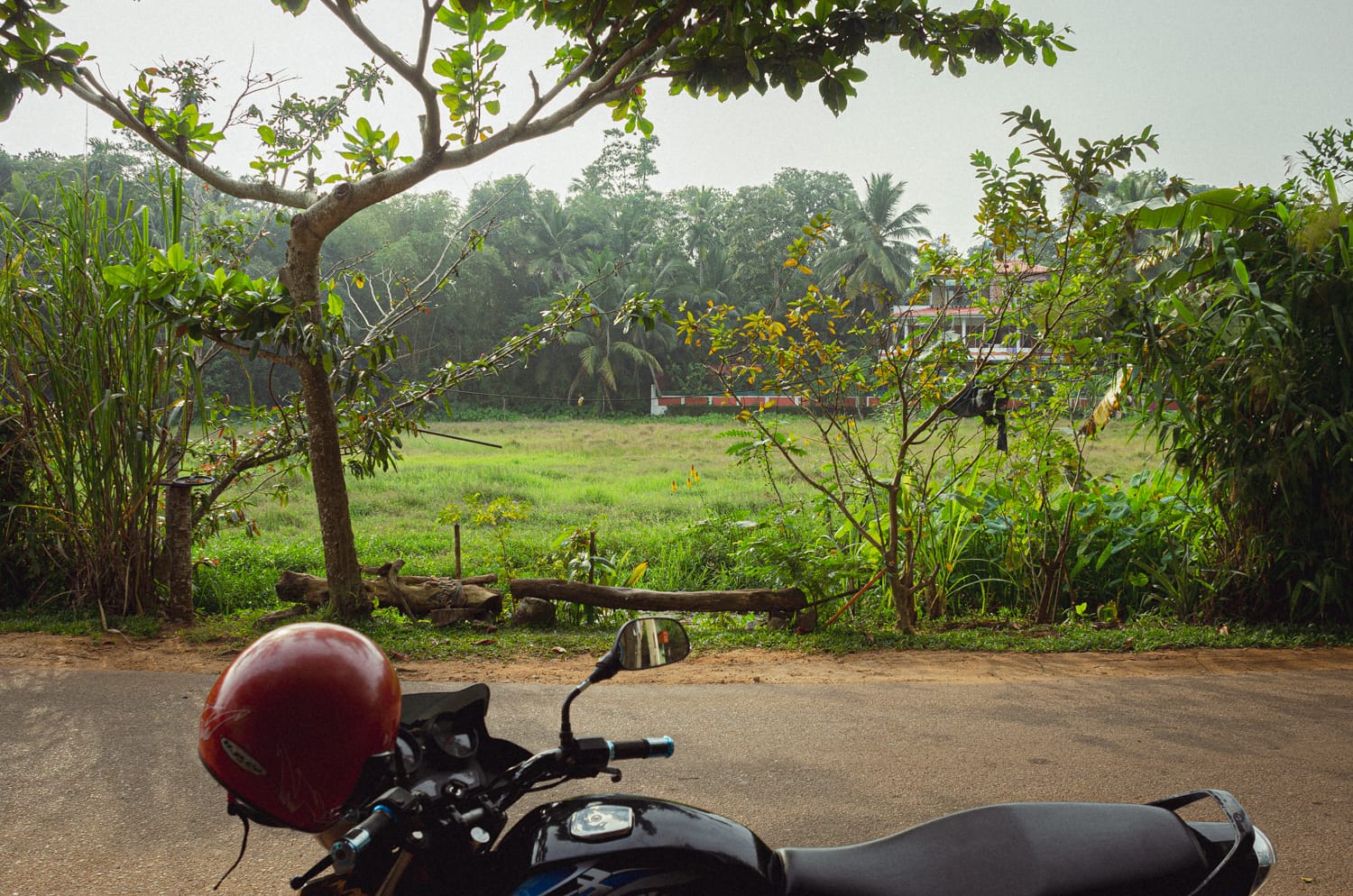 Фото 346 из альбома Sri Lanka 2019