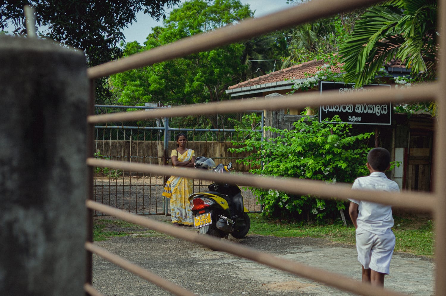 Фото 353 из альбома Sri Lanka 2019