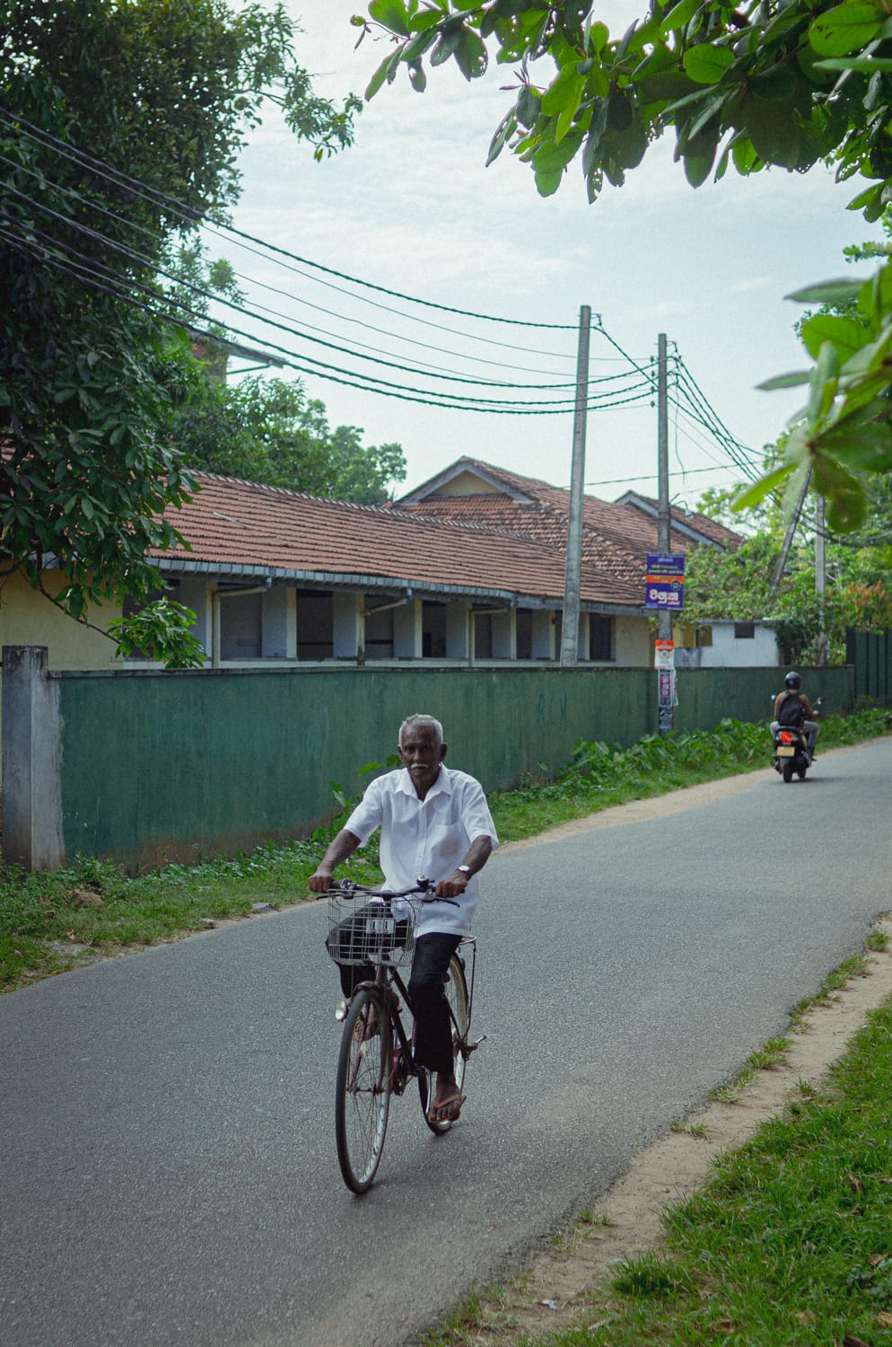 Фото 354 из альбома Sri Lanka 2019
