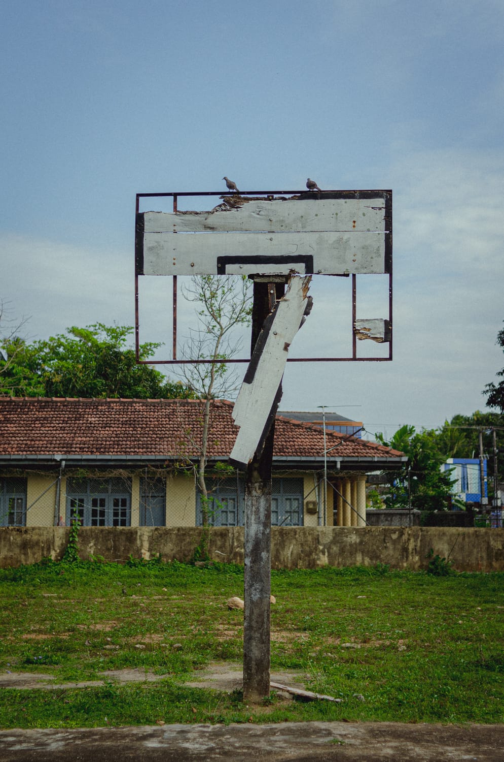 Фото 356 из альбома Sri Lanka 2019