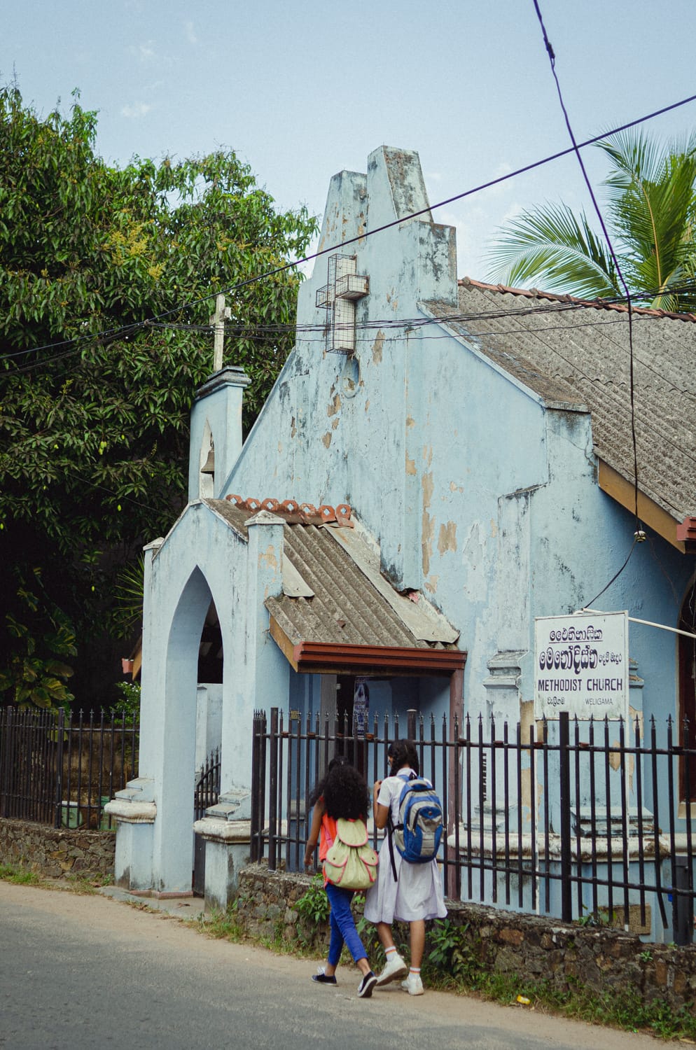 Фото 359 из альбома Sri Lanka 2019