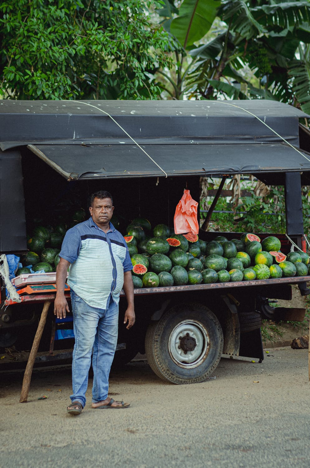 Фото 364 из альбома Sri Lanka 2019