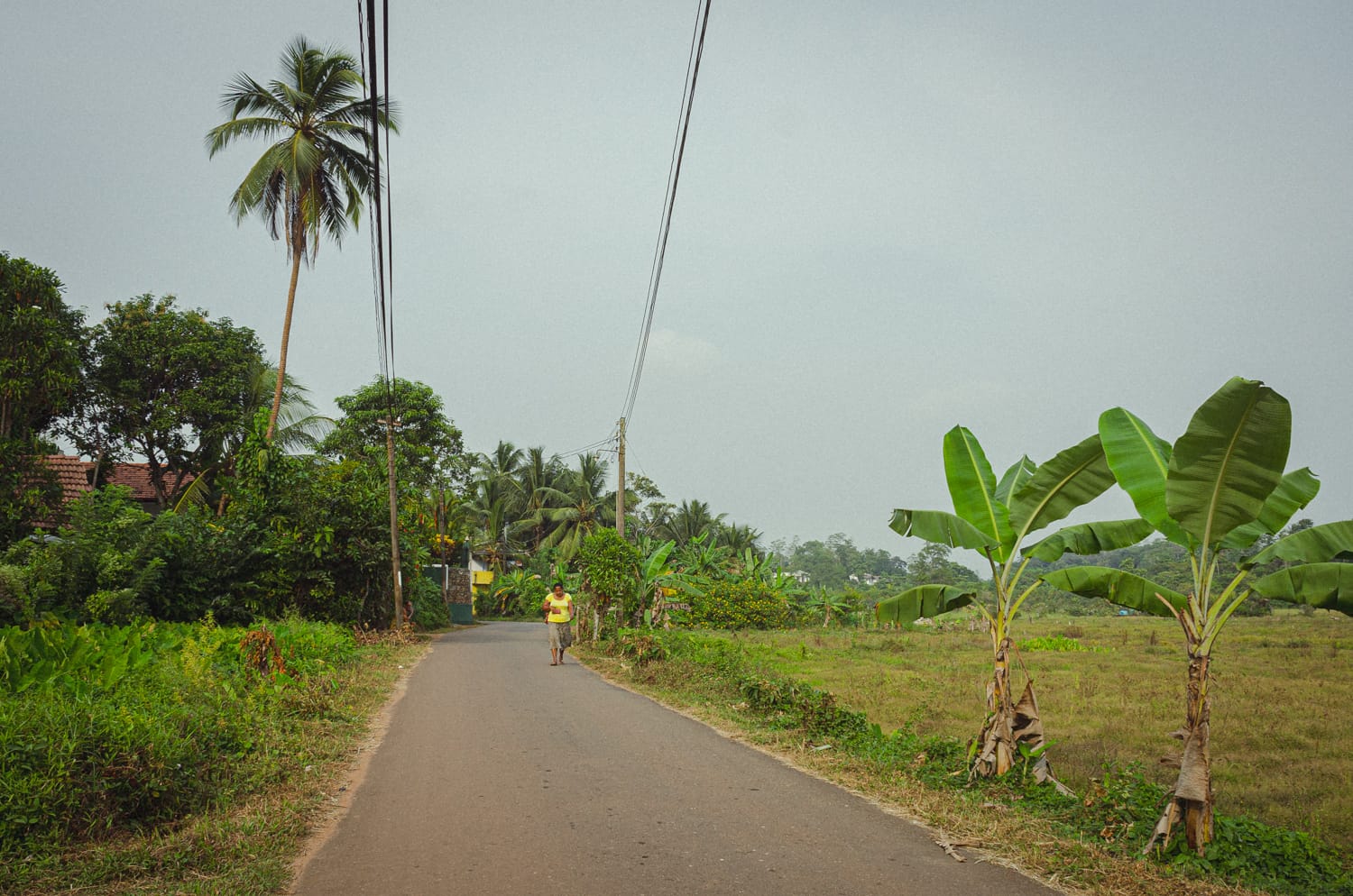 Фото 368 из альбома Sri Lanka 2019