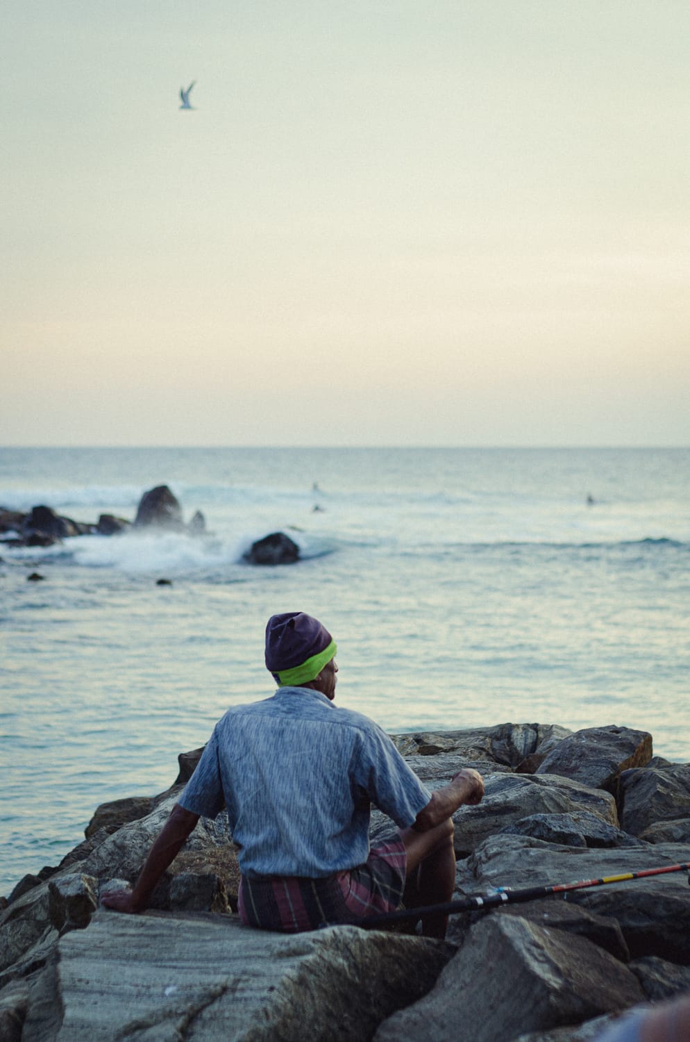 Фото 369 из альбома Sri Lanka 2019