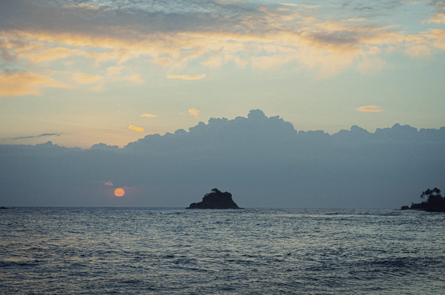 Фото 370 из альбома Sri Lanka 2019