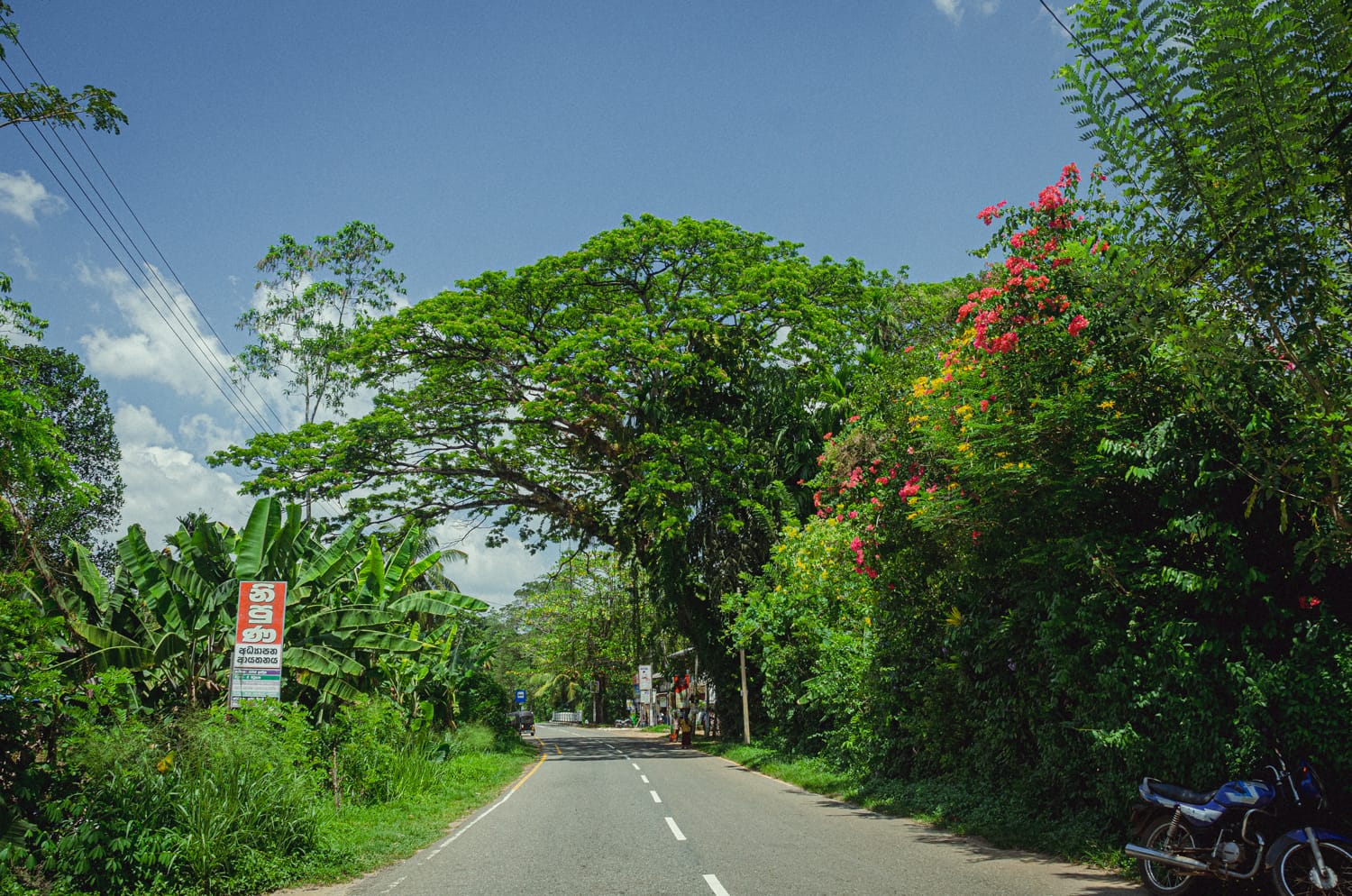 Фото 374 из альбома Sri Lanka 2019