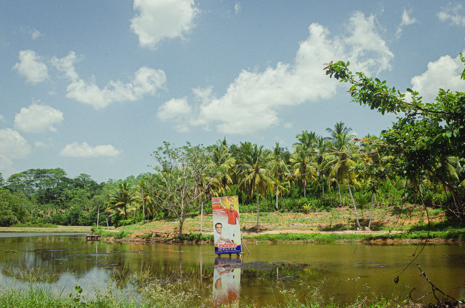 Фото 375 из альбома Sri Lanka 2019