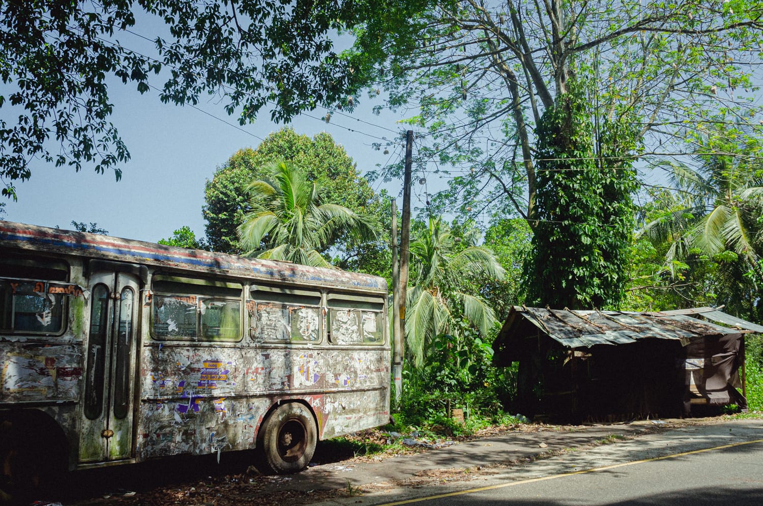 Фото 377 из альбома Sri Lanka 2019