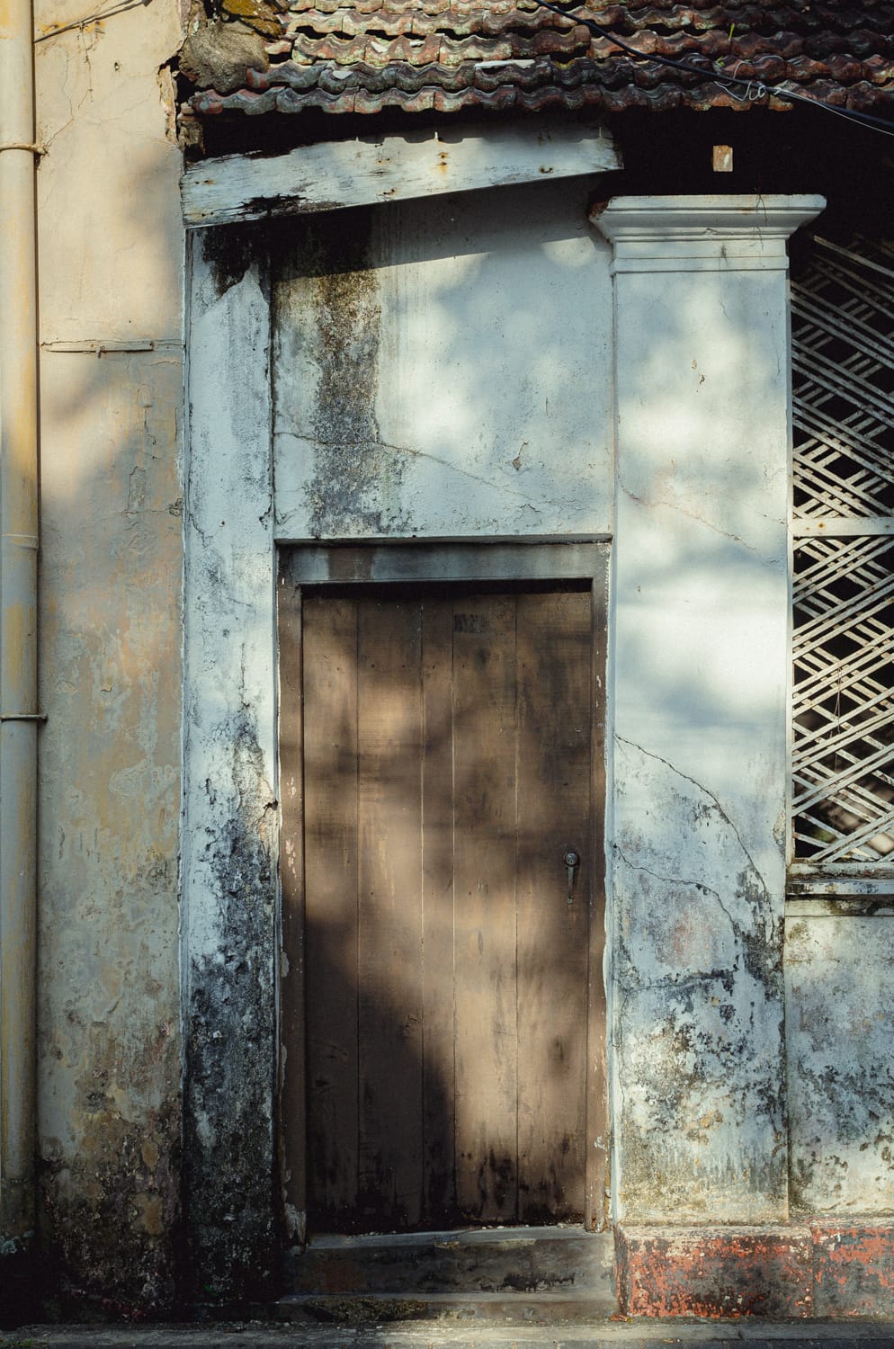 Фото 384 из альбома Sri Lanka 2019