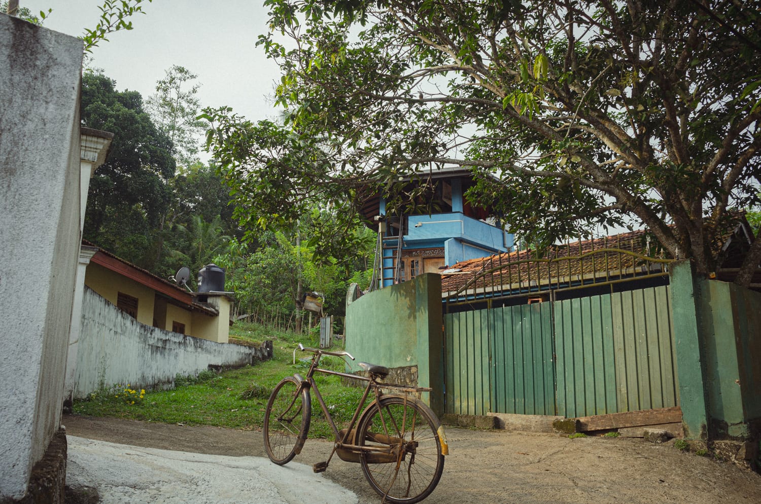 Фото 389 из альбома Sri Lanka 2019