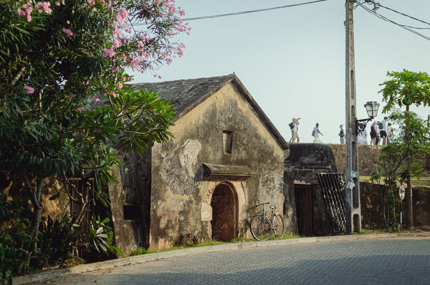 Фото 391 из альбома Sri Lanka 2019