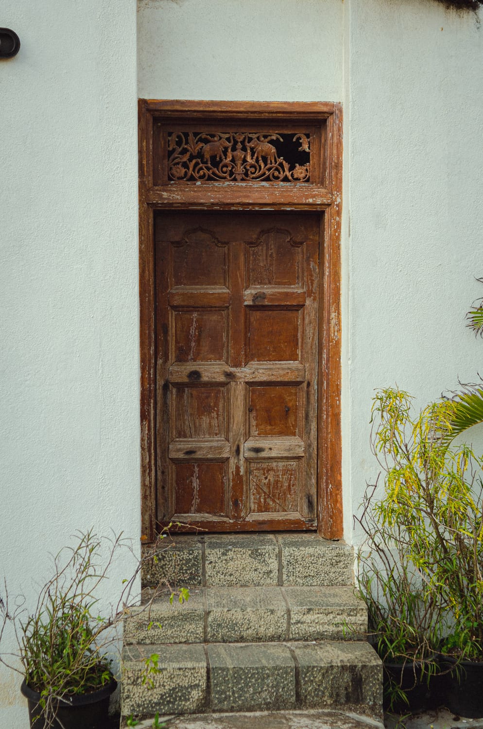 Фото 393 из альбома Sri Lanka 2019