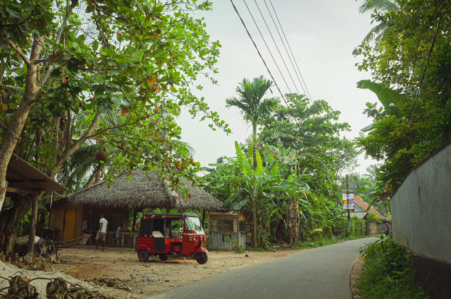 Фото 400 из альбома Sri Lanka 2019