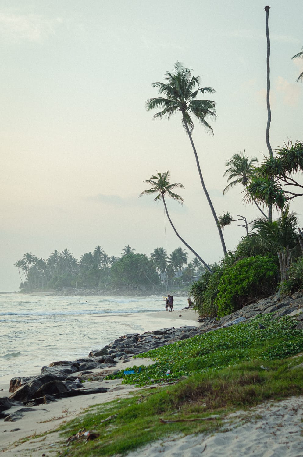 Фото 402 из альбома Sri Lanka 2019