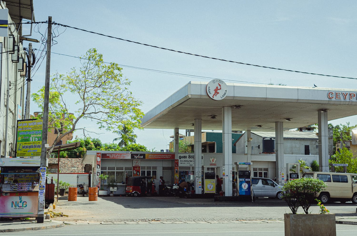 Фото 407 из альбома Sri Lanka 2019