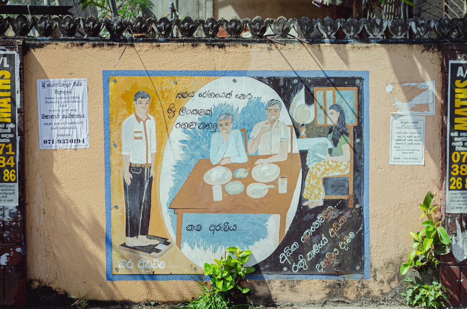 Фото 413 из альбома Sri Lanka 2019