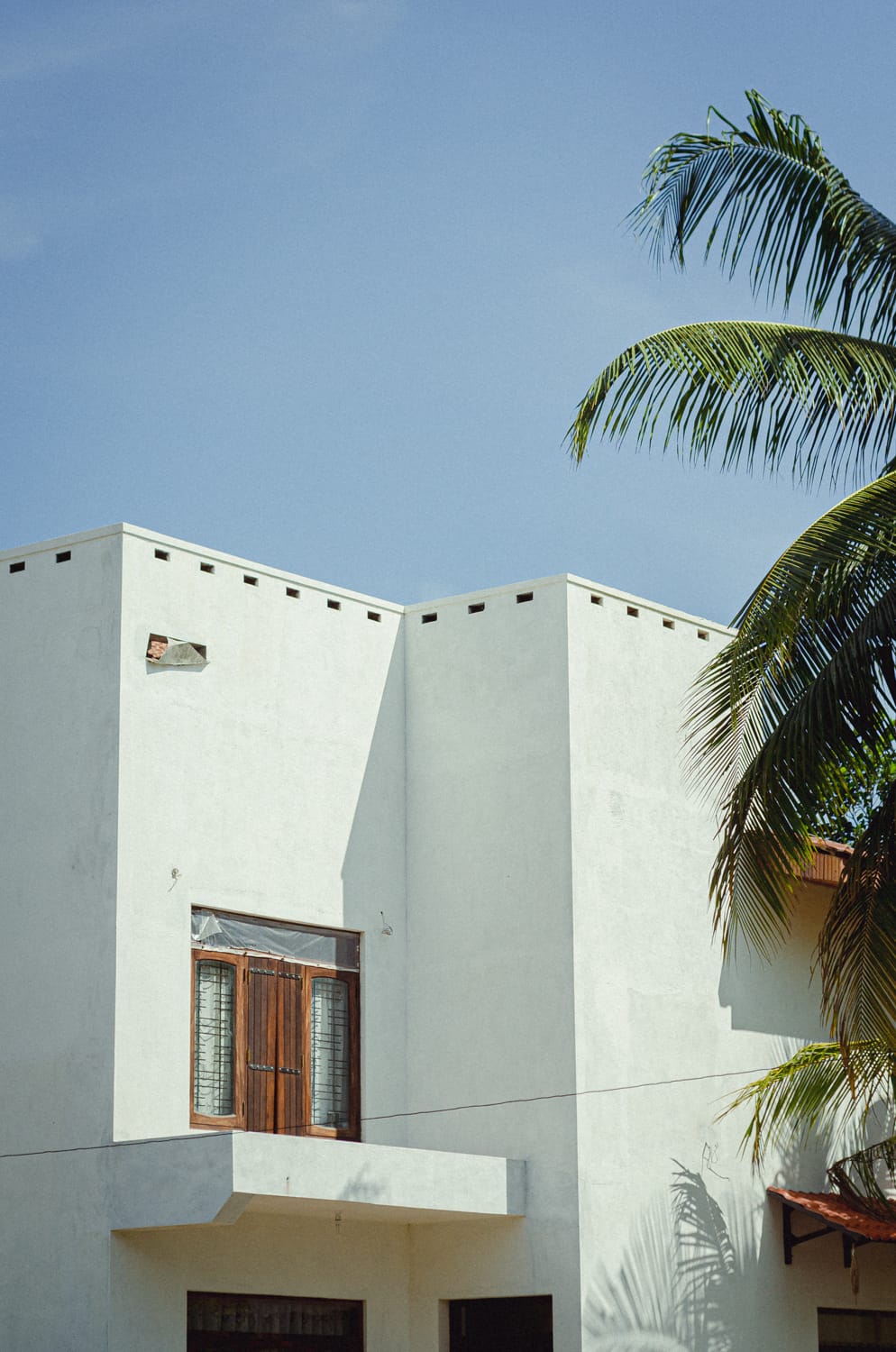 Фото 414 из альбома Sri Lanka 2019