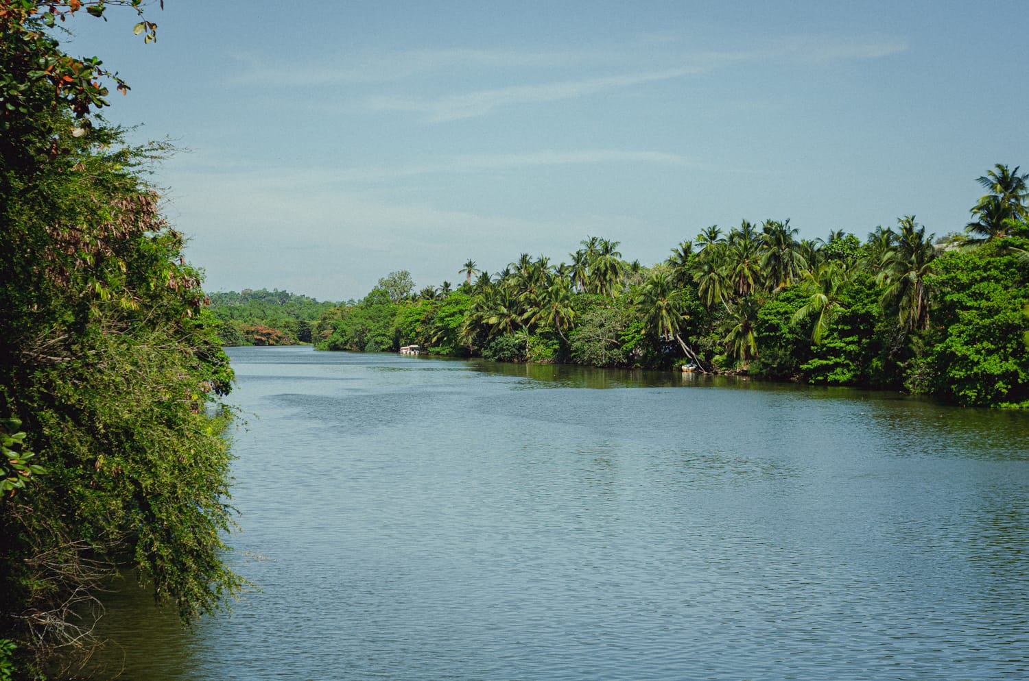 Фото 417 из альбома Sri Lanka 2019