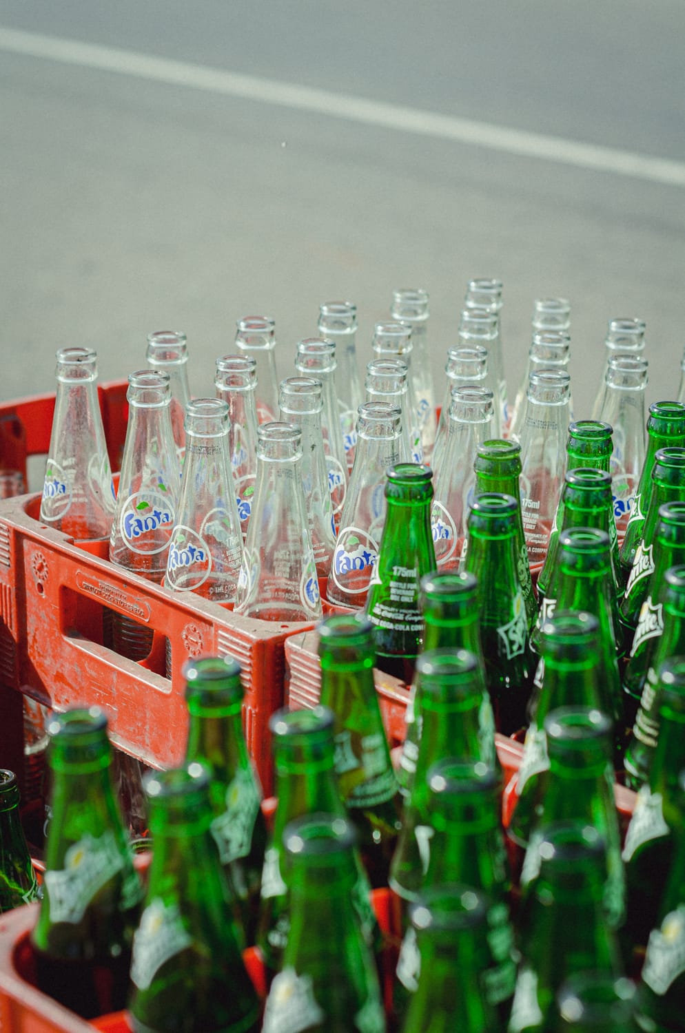 Фото 420 из альбома Sri Lanka 2019