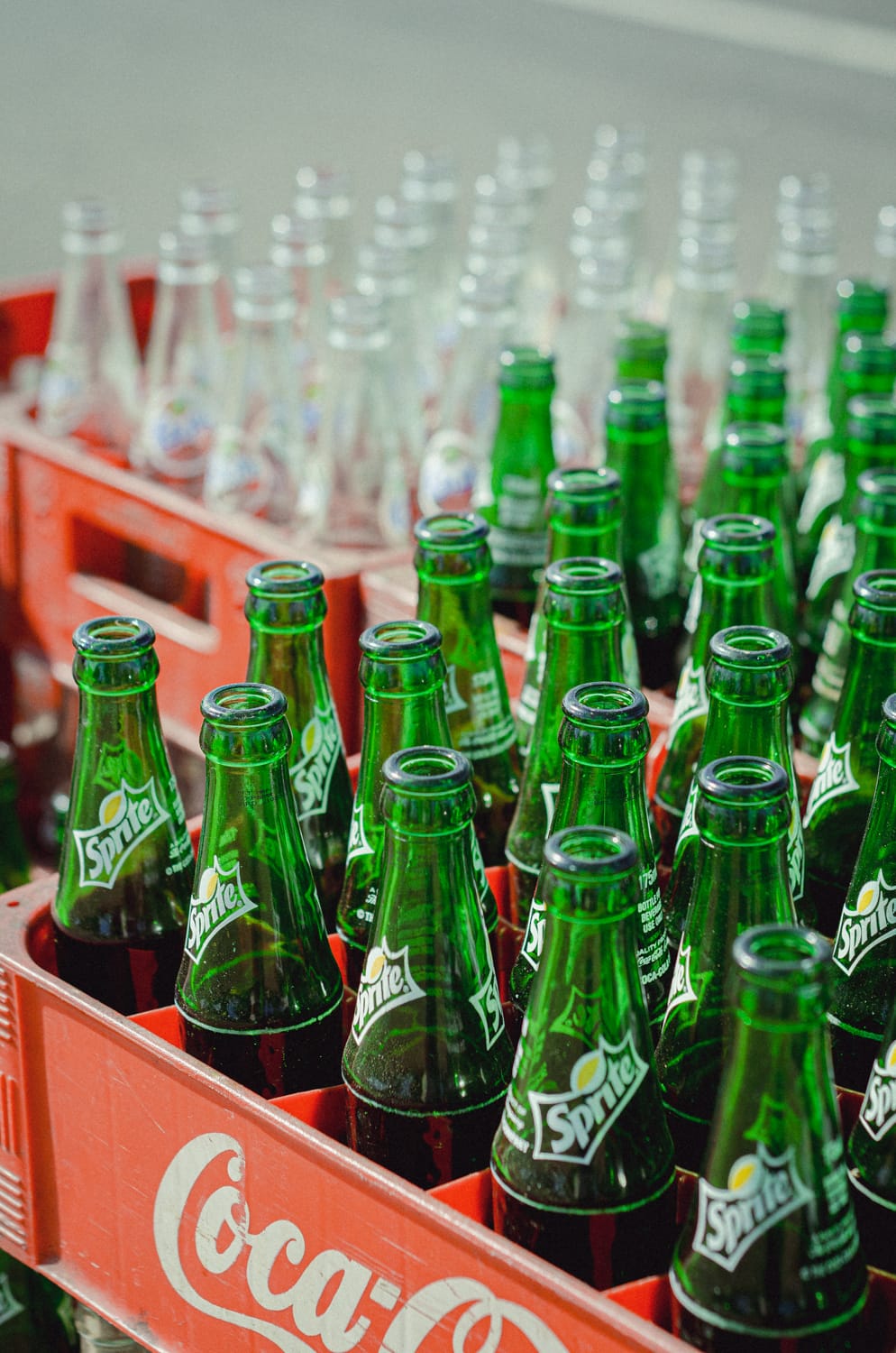 Фото 421 из альбома Sri Lanka 2019