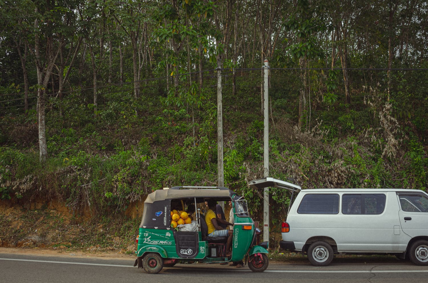 Фото 422 из альбома Sri Lanka 2019