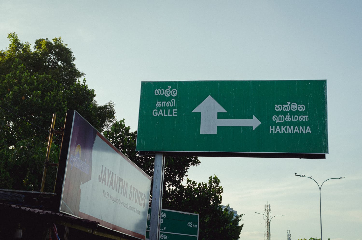 Фото 424 из альбома Sri Lanka 2019