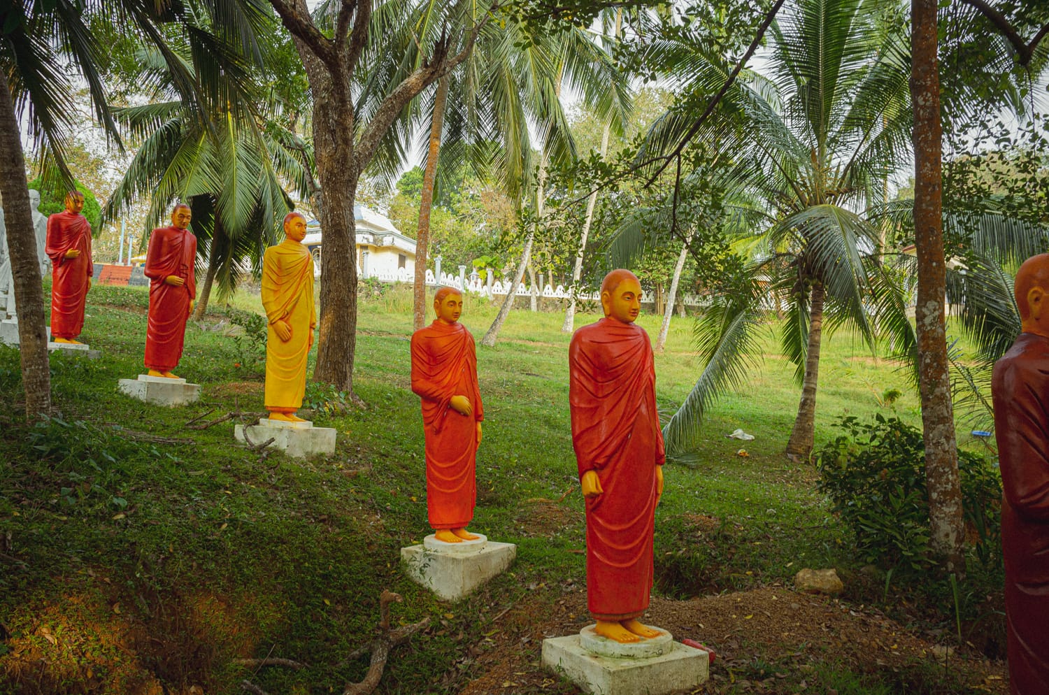 Фото 434 из альбома Sri Lanka 2019