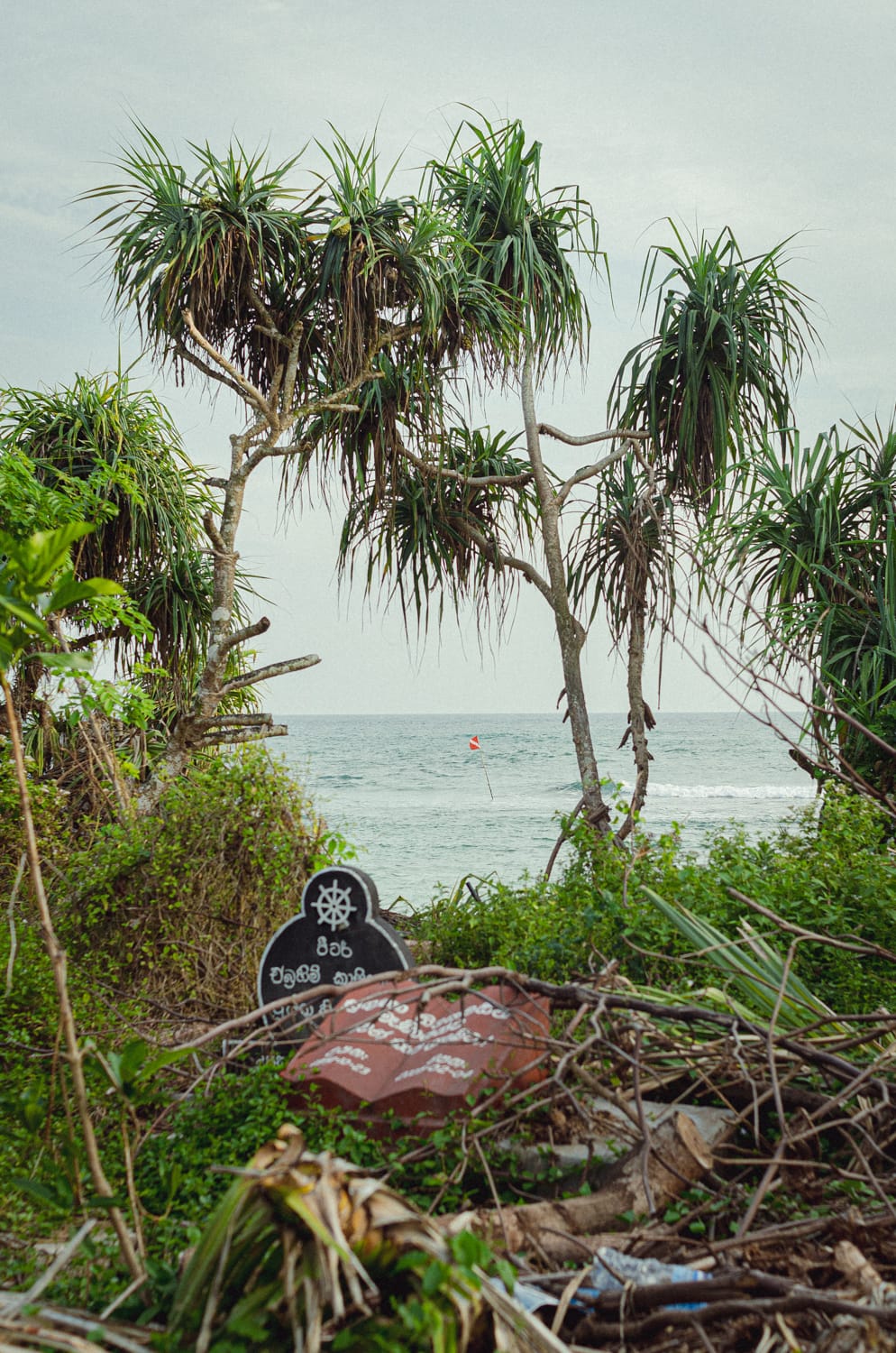 Фото 436 из альбома Sri Lanka 2019