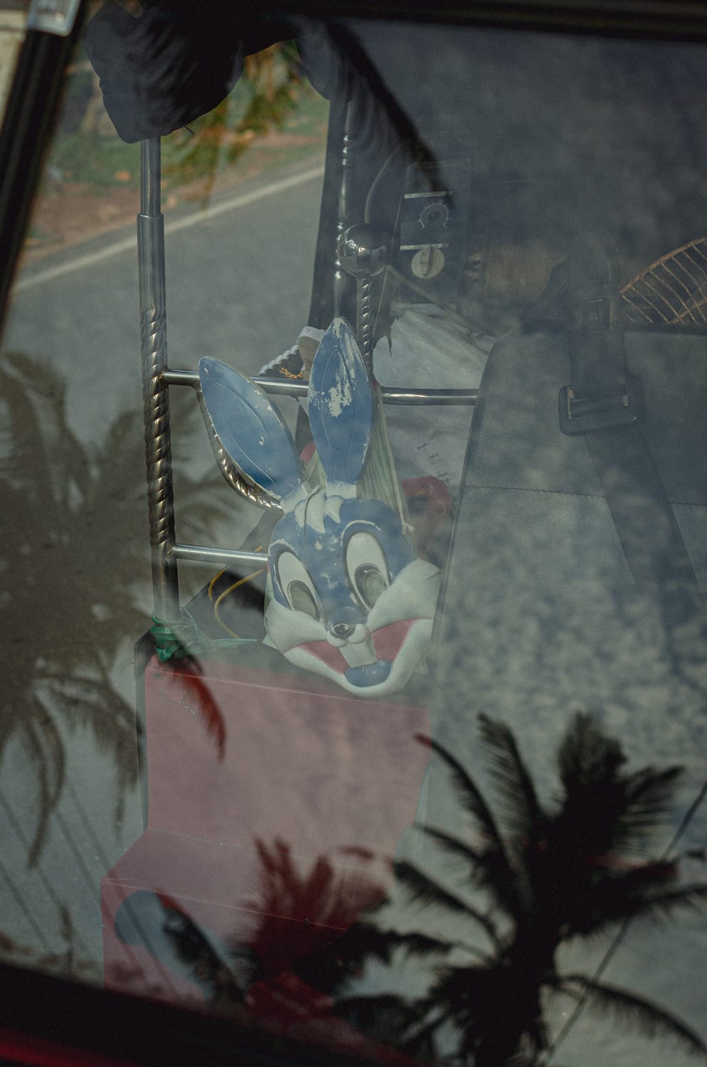 Фото 437 из альбома Sri Lanka 2019