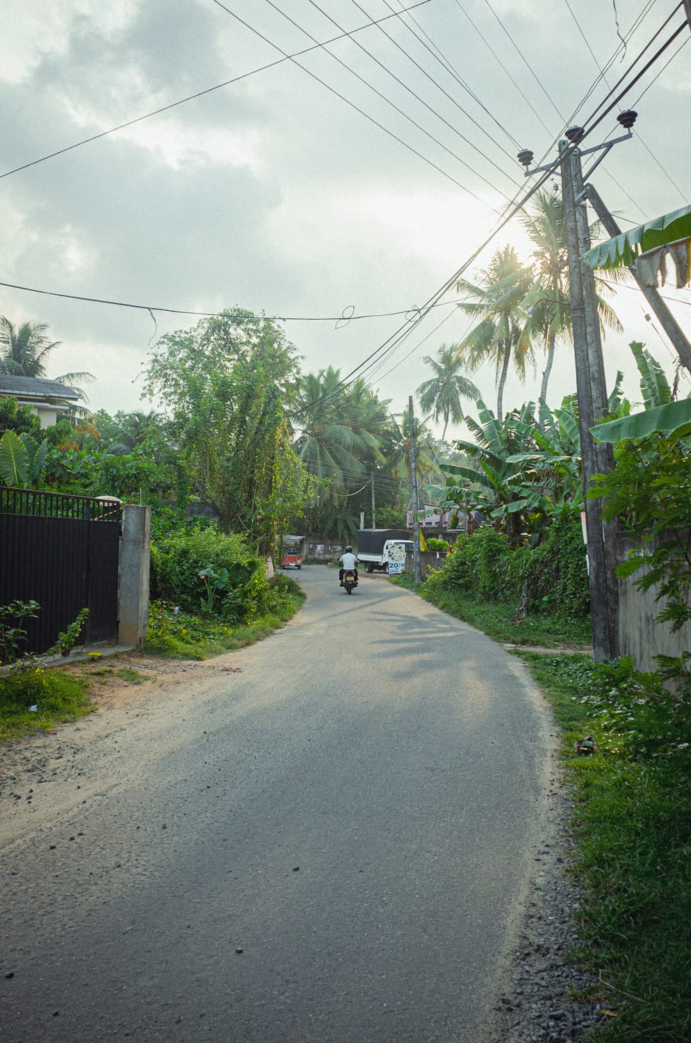 Фото 440 из альбома Sri Lanka 2019