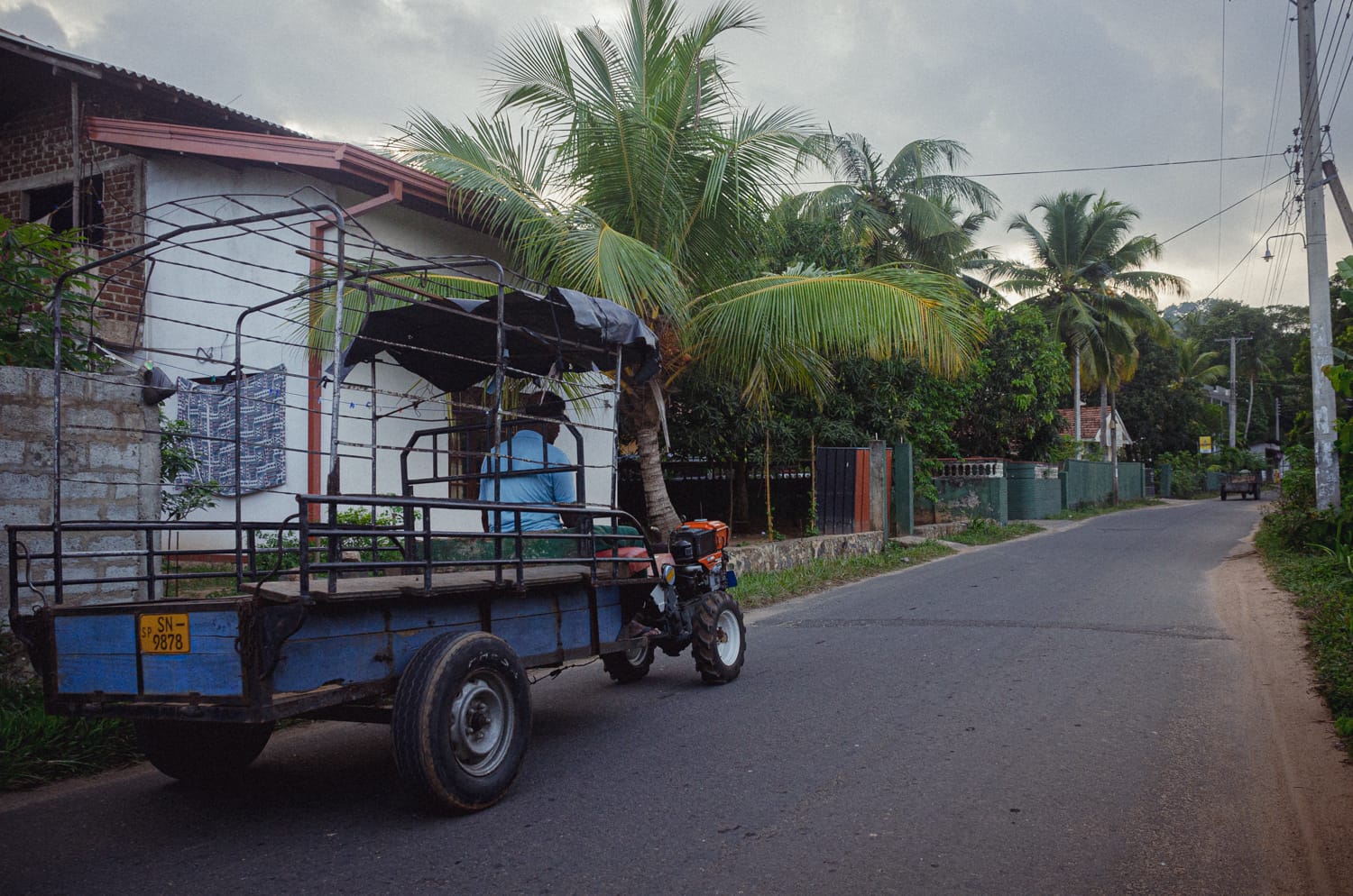 Фото 441 из альбома Sri Lanka 2019