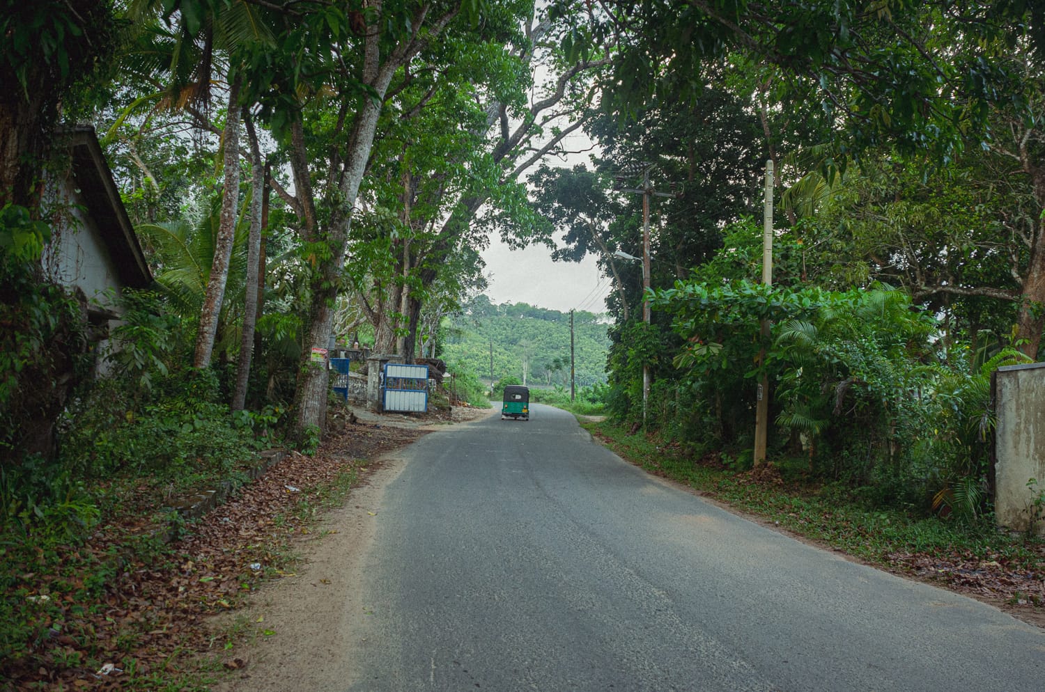 Фото 442 из альбома Sri Lanka 2019