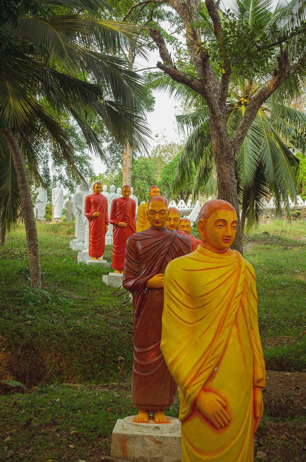 Фото 445 из альбома Sri Lanka 2019