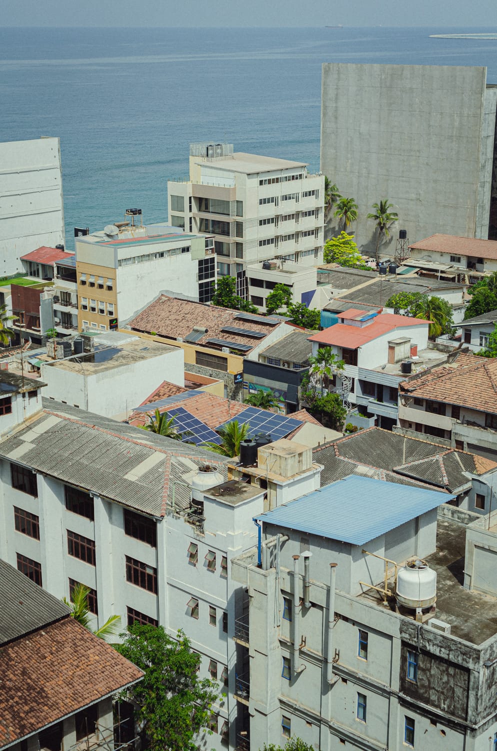 Фото 450 из альбома Sri Lanka 2019