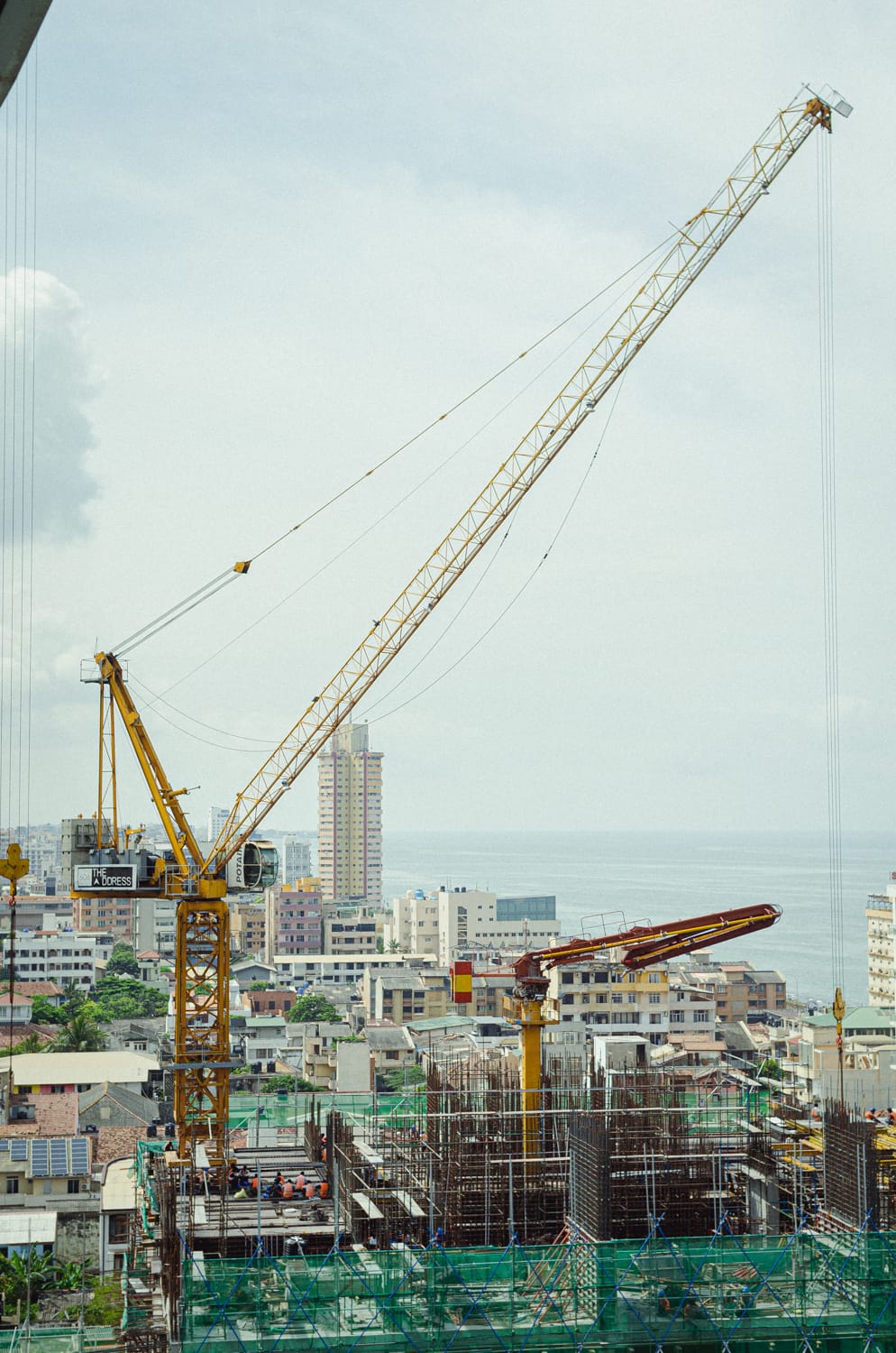 Фото 451 из альбома Sri Lanka 2019