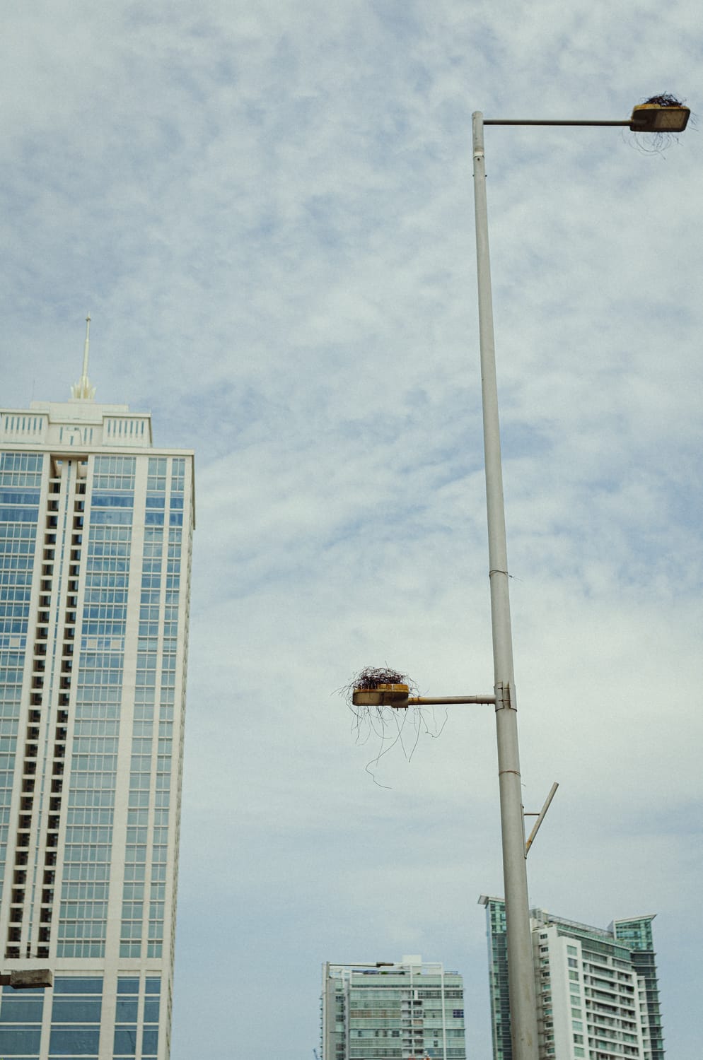 Фото 463 из альбома Sri Lanka 2019