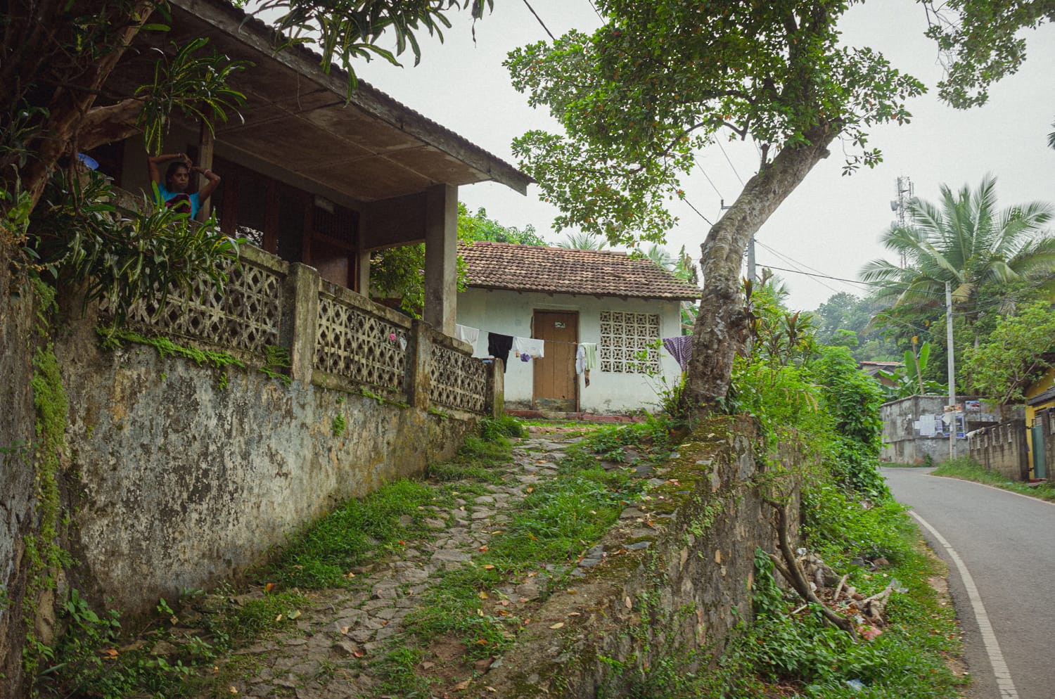 Фото 467 из альбома Sri Lanka 2019