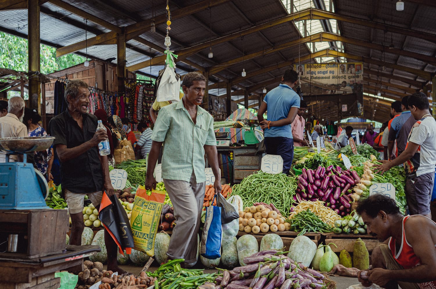 Фото 469 из альбома Sri Lanka 2019