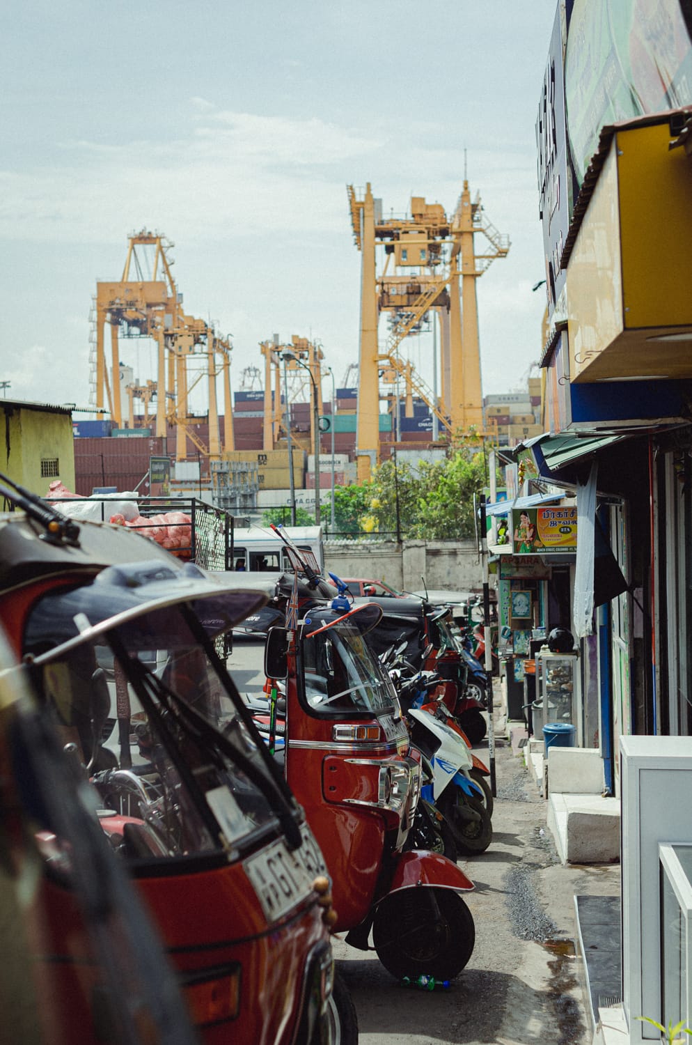 Фото 477 из альбома Sri Lanka 2019