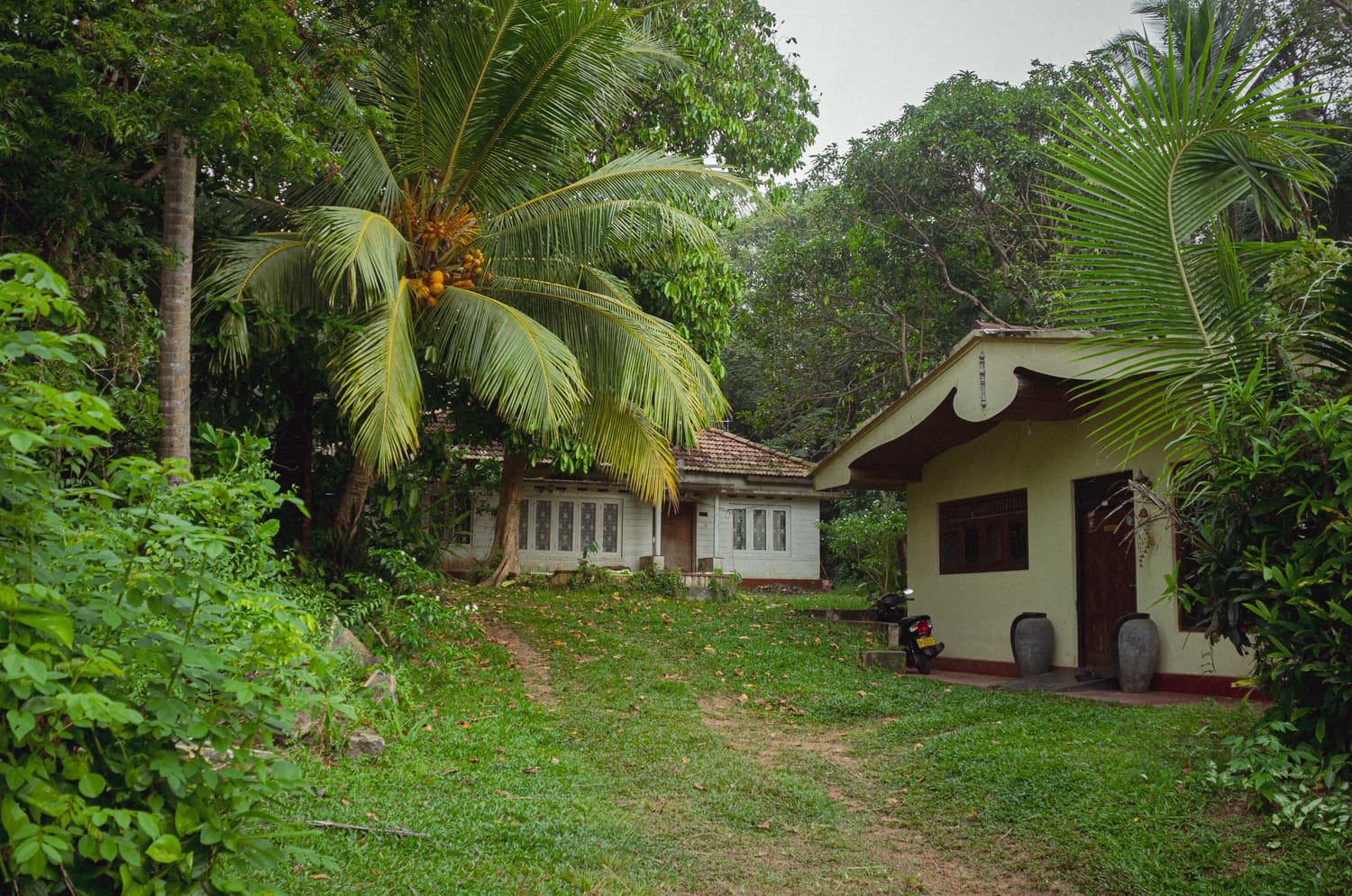 Фото 478 из альбома Sri Lanka 2019