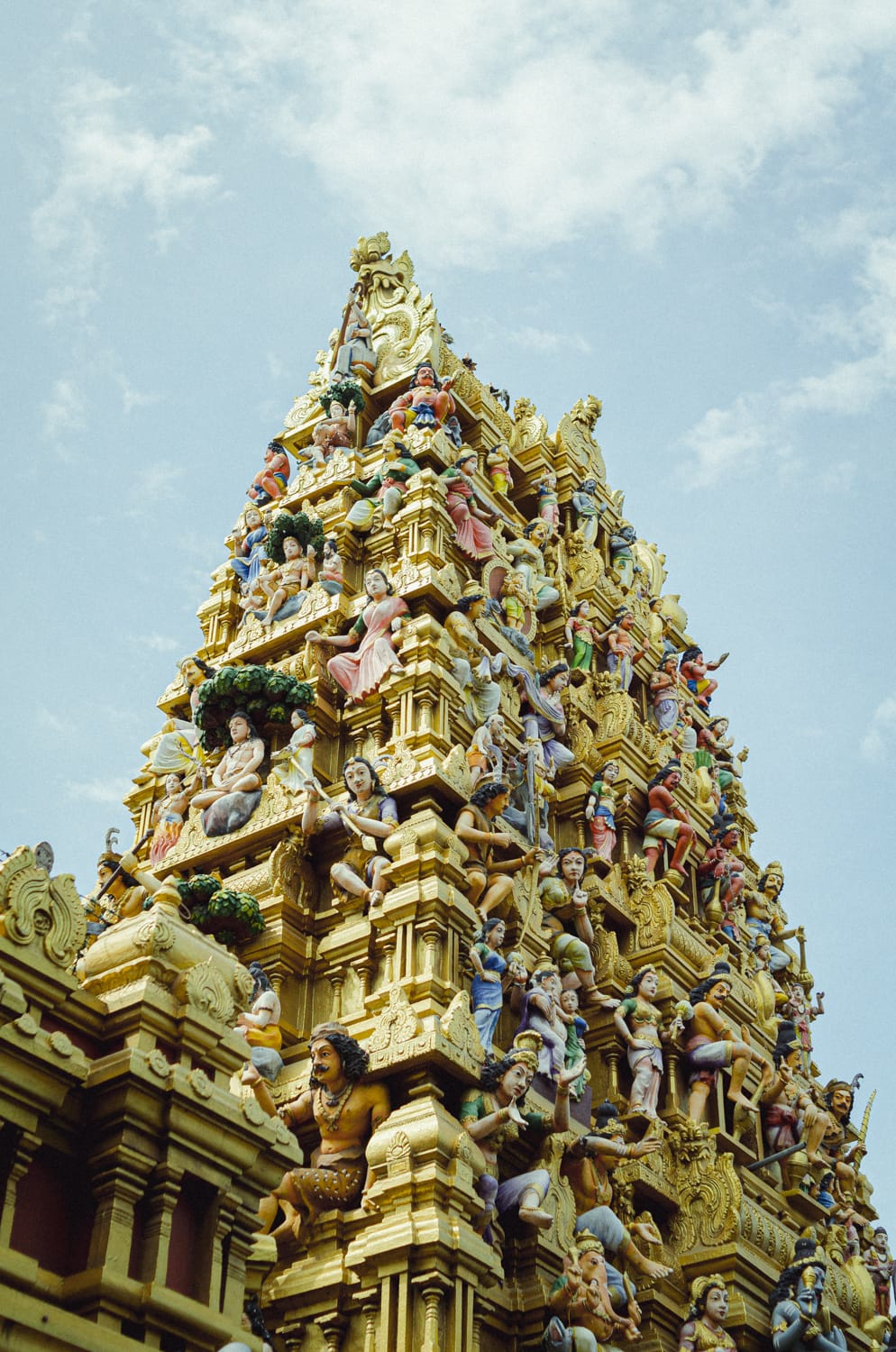 Фото 479 из альбома Sri Lanka 2019