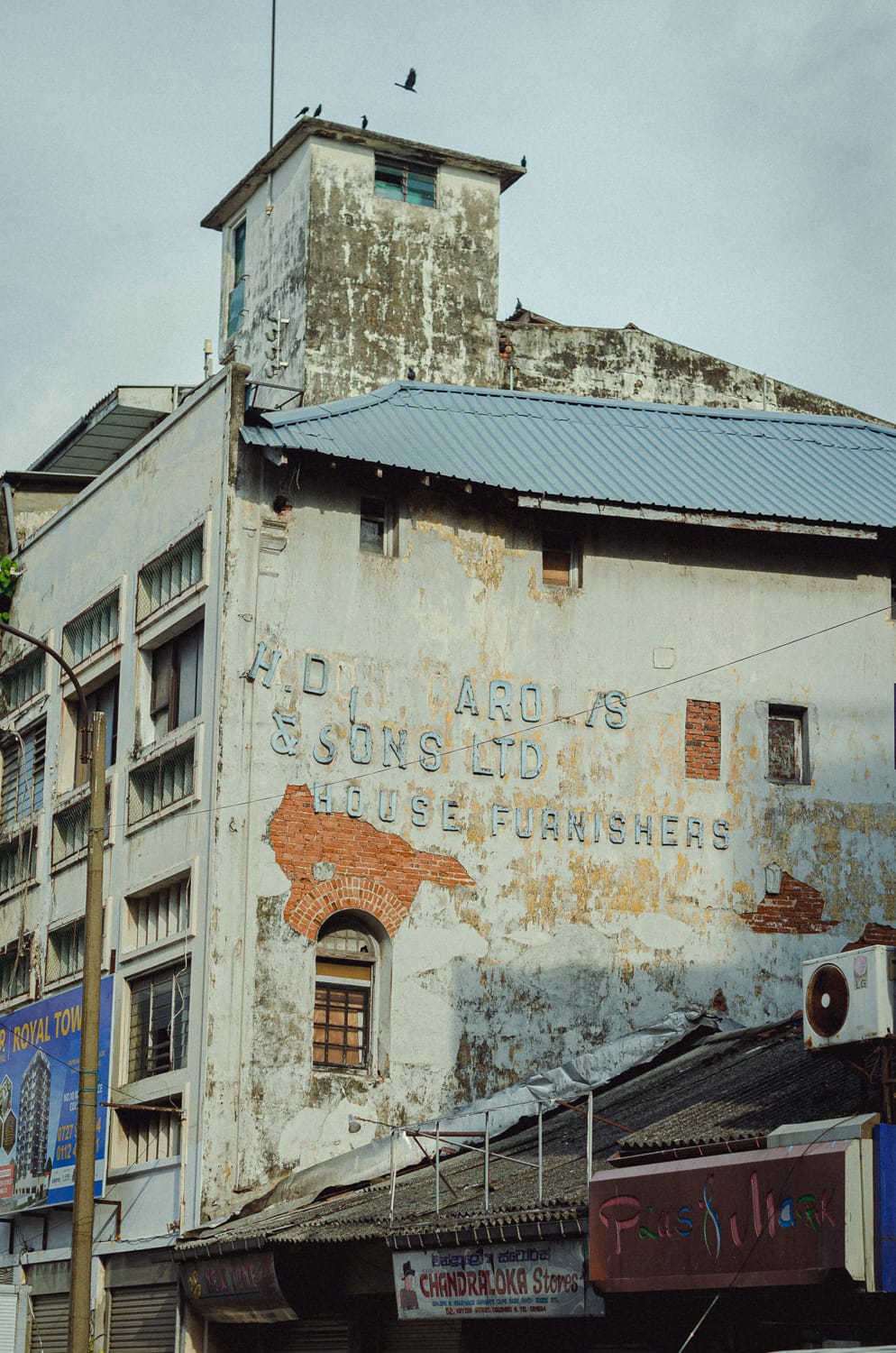 Фото 491 из альбома Sri Lanka 2019