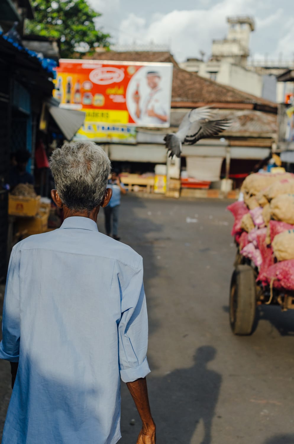 Фото 496 из альбома Sri Lanka 2019