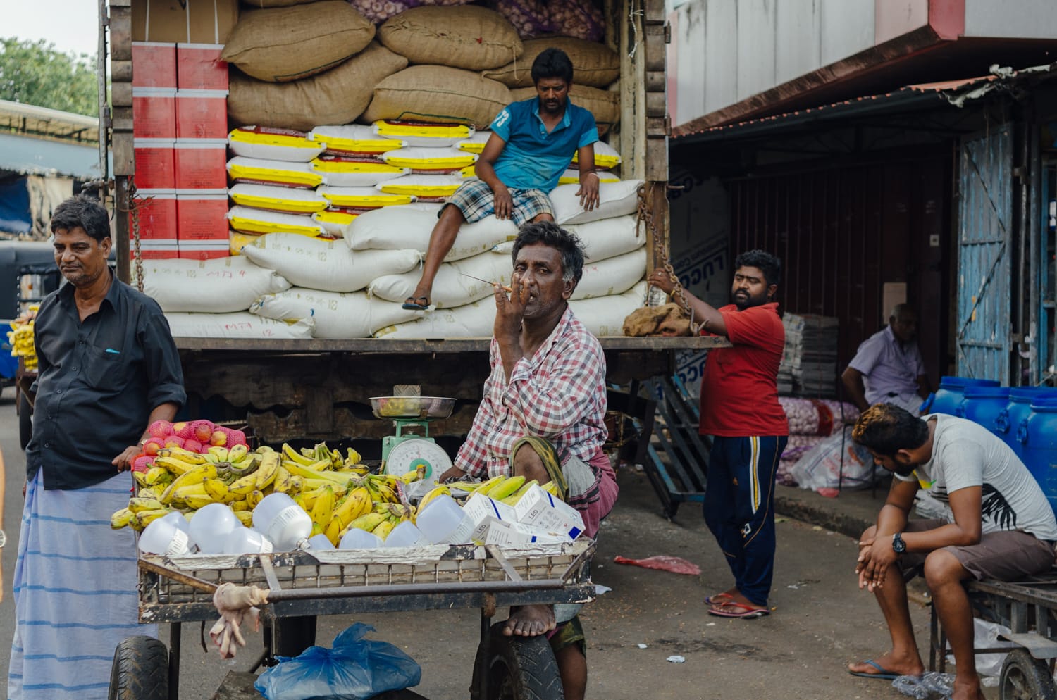 Фото 497 из альбома Sri Lanka 2019