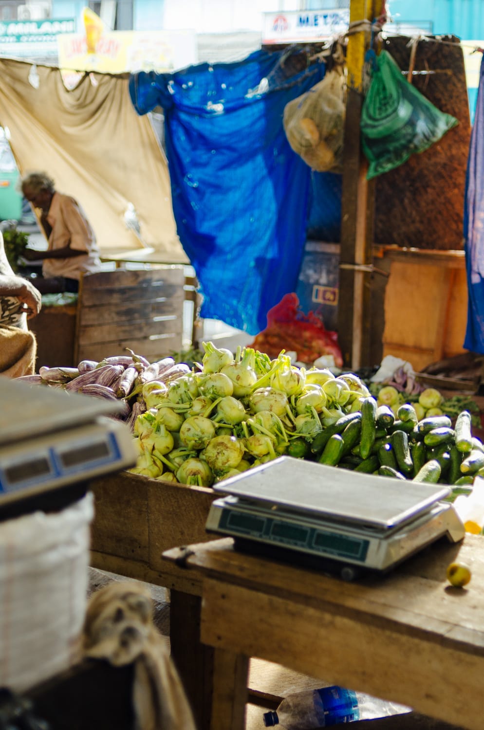 Фото 498 из альбома Sri Lanka 2019