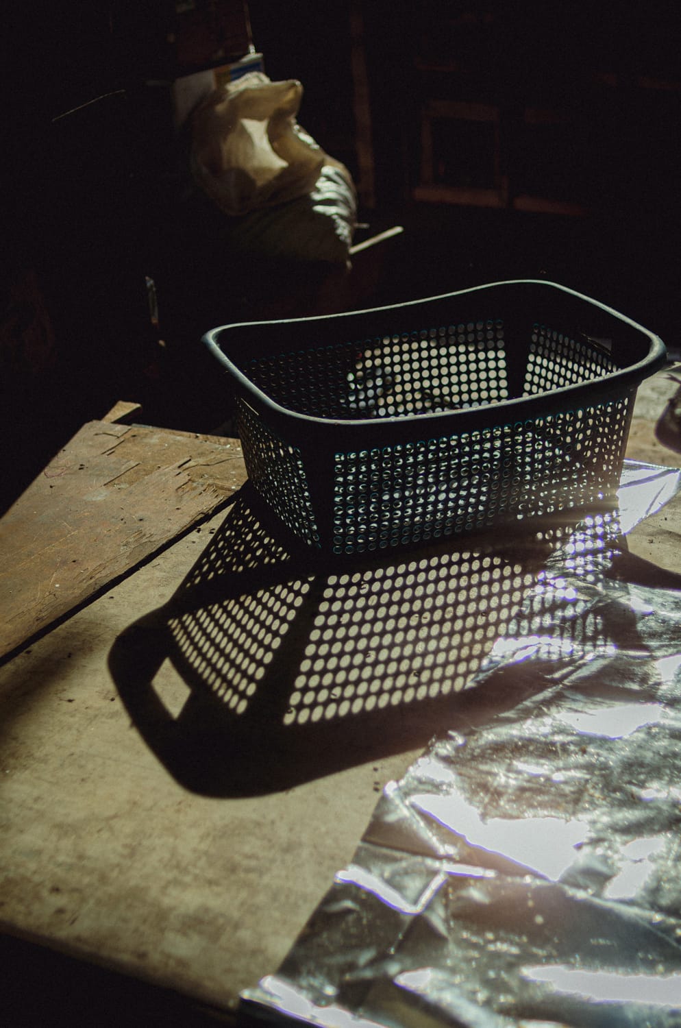 Фото 499 из альбома Sri Lanka 2019